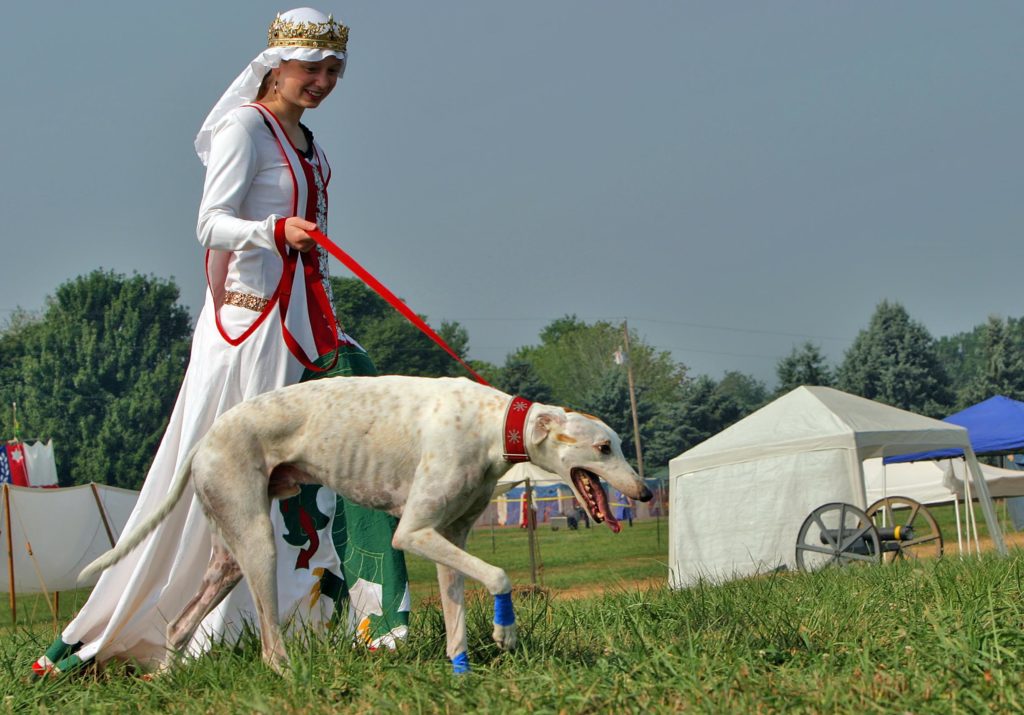 A lady with a leashed greyhound